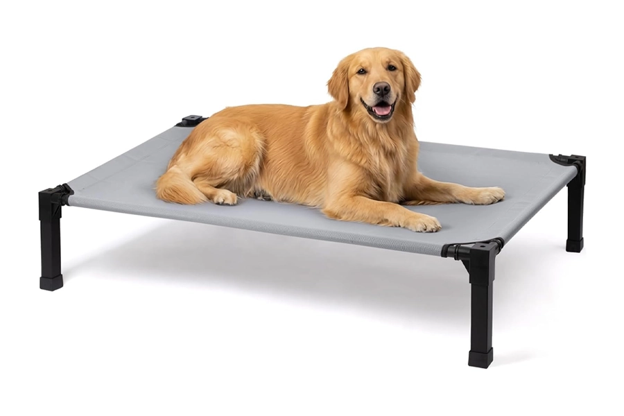 Elevated Outdoor Dog Bed